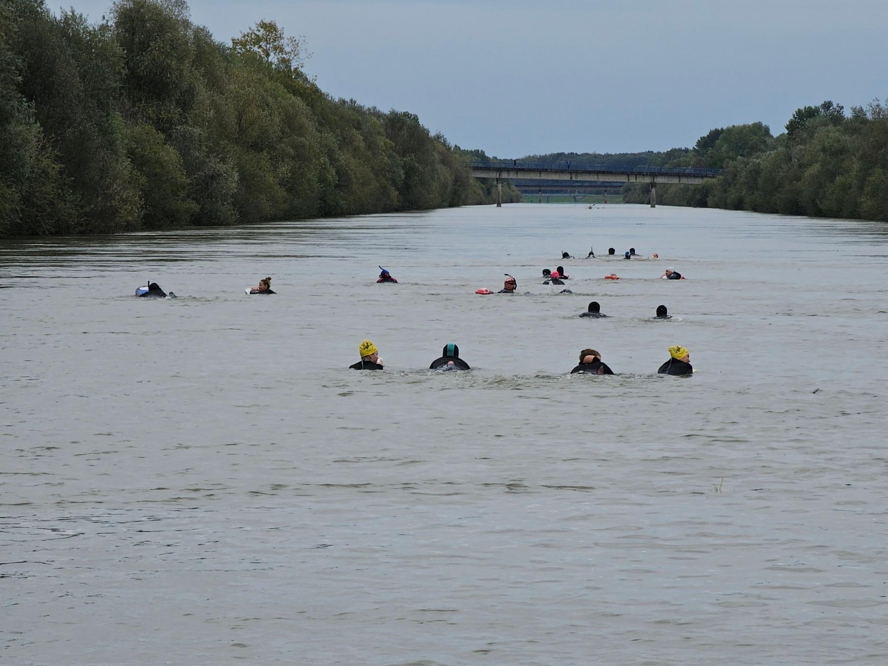 Cover Image for Dežurstvo na Dravi