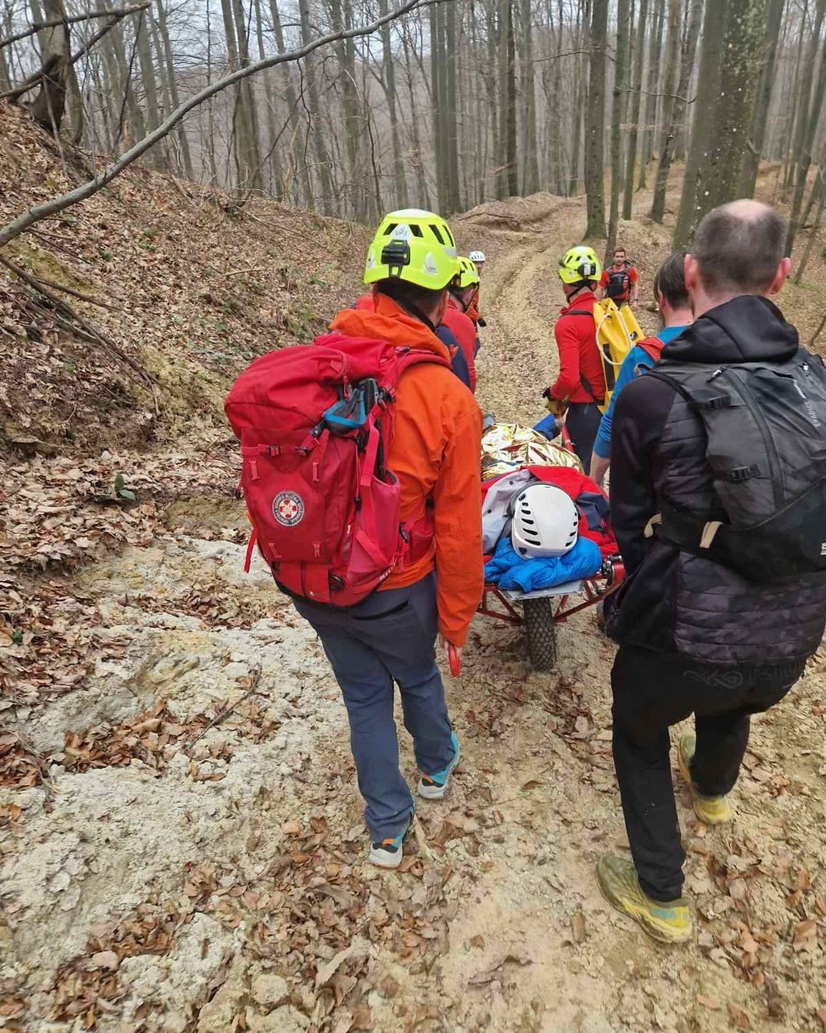 Cover Image for Akcija Pokojec