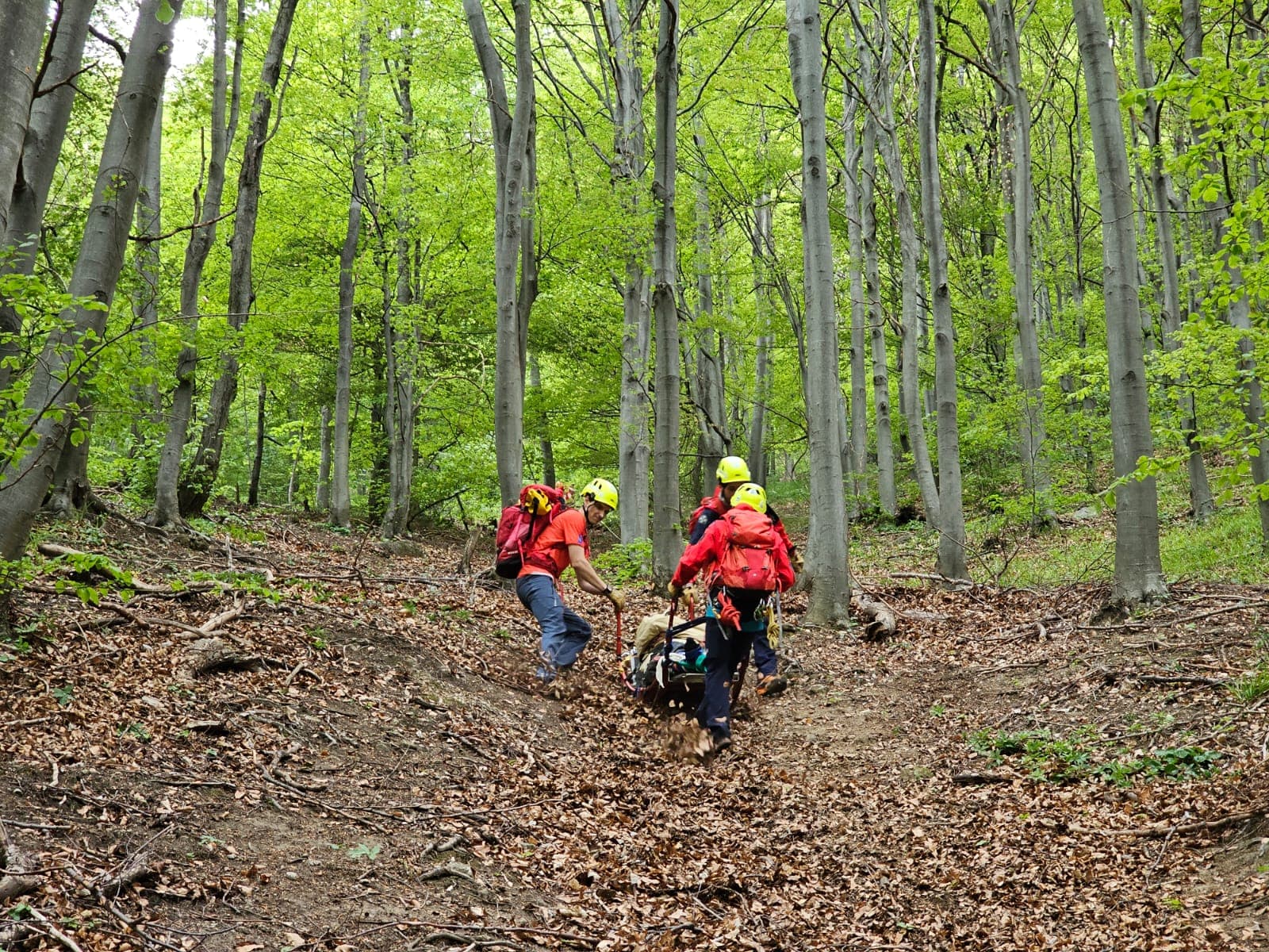 Cover Image for Dežurstvo i intervencije povodom 1. maja
