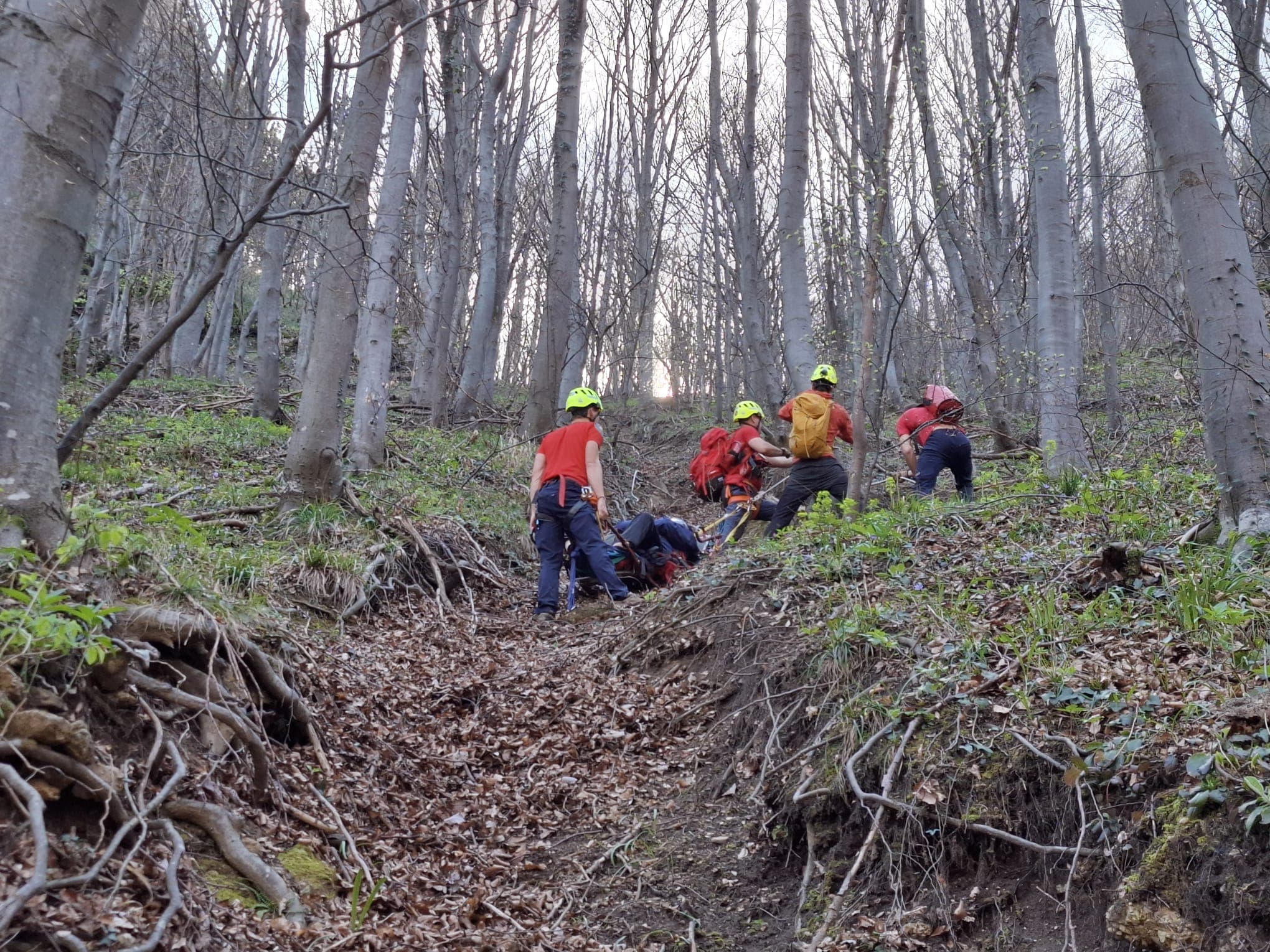 Cover Image for Intervencija na Ivanščici